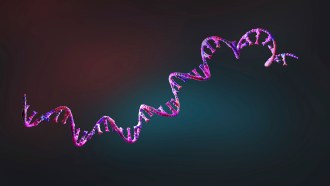 An image of RNA