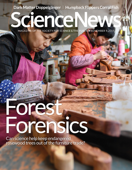 November 9, 2019 cover